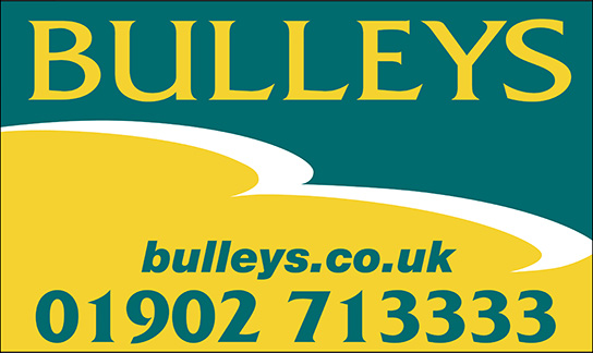 Bulleys Logo